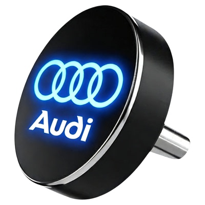 奥迪专用U盘/SD卡--原车logo