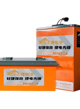 牛么王锂电池无损直上九号电动车