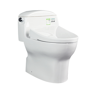 TOTO智能马桶CW988SEB+TCF4E360/460卫洗丽即热式智能套餐(02)