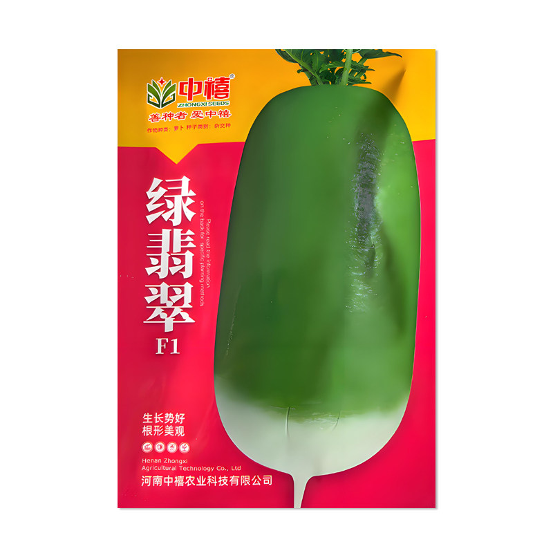 中禧绿翡翠萝卜种子蔬菜种孑