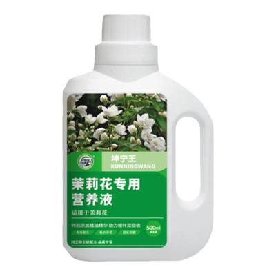 坤宁王茉莉花专用营养液促进开花