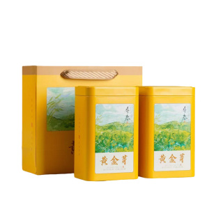 正宗黄金芽茶叶2026年新茶口粮安吉茶树白茶绿茶250g礼盒罐装明前
