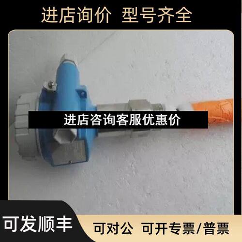 议价恩德斯豪斯EH探头FMI51A1AGEJB3A1AL290mm