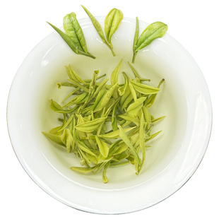 2025新茶正宗安吉白茶正味兰花香明前特级茶叶绿茶罐装礼盒装春茶