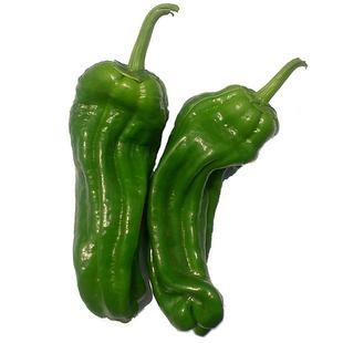 薄皮椒种子虎皮皱皮泡椒芜湖椒苏椒辣椒种籽辣椒苗蔬菜苗辣美8号