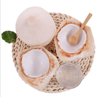 海南椰青丨纯天然无添加椰子水
