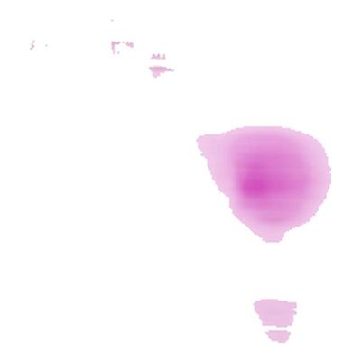 【自营】【小仙片】氯雷他定口腔崩解片10mg*20片/盒