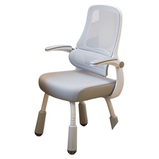 朗域学习椅子初中学生青少年专用椅学生专用儿童书桌升降写字座椅