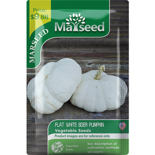 【MARSEED火星家】传家宝Flat White Boer 平白波尔南瓜种子秧苗