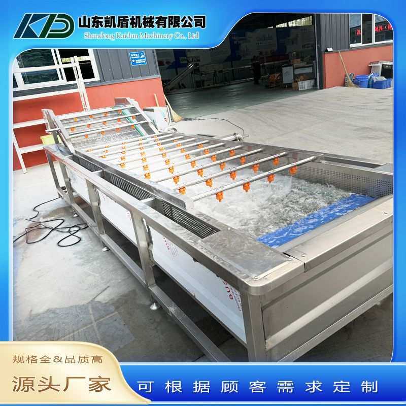 蔬菜水果气泡清洗机高压喷淋式多功能大型中药材五金件果蔬清洗机
