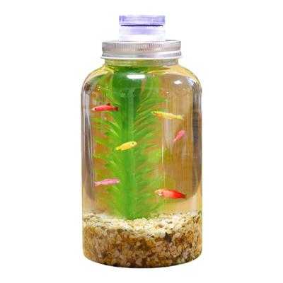 水星瓶免换水免打理DIY造景鱼缸