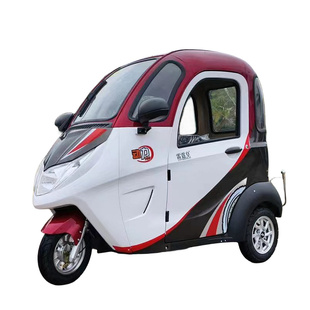 【保国车业】雷霆皇国标全封闭电动三轮车国标车脚刹 送倒车影像