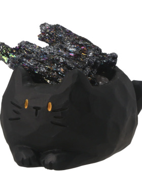 猫猫PAI水晶盲盒动物公仔摆件