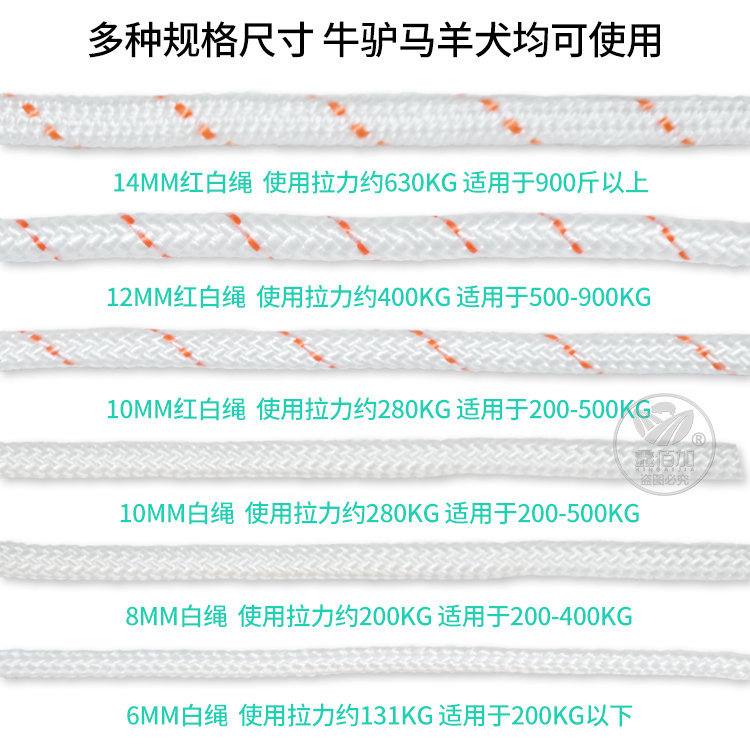牛笼头绳子 栓牛笼套加粗栓牛绳牛僵绳 特大号牛笼头牵牛绳子可编