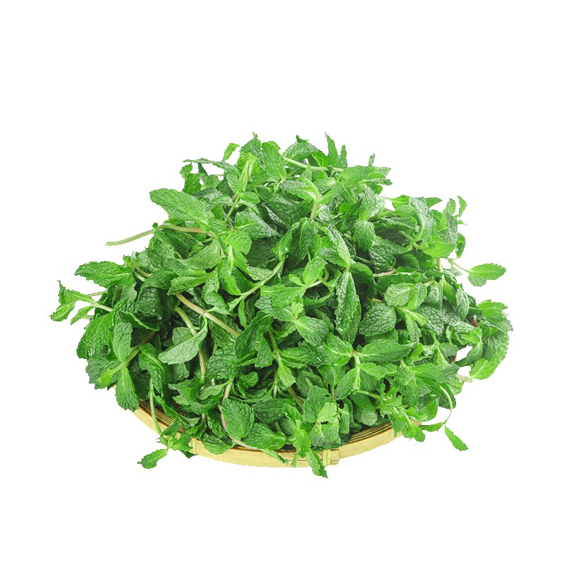 新鲜薄荷!农家推荐!力荐美味