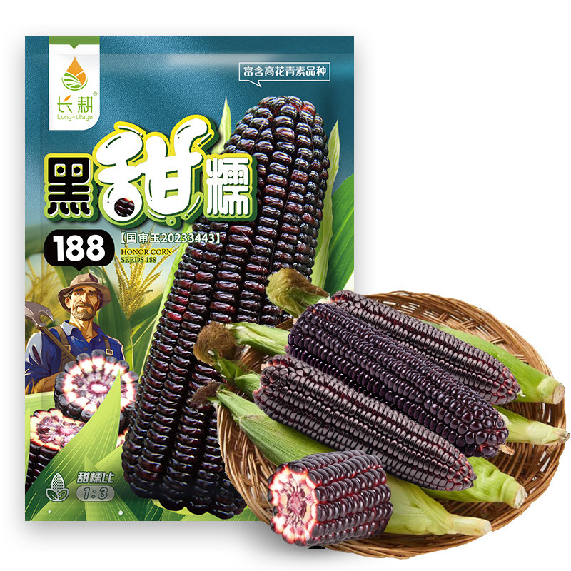 糯玉米种子高产四季特大生食耐旱