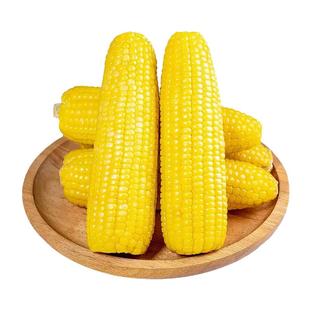 黄糯玉米10支东北25年新鲜软糯甜玉米真空独立包装袋早餐苞米棒