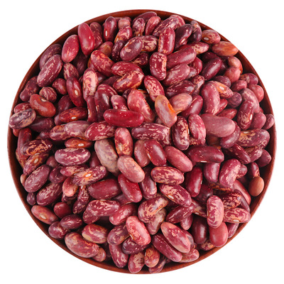 紫花芸豆红花豆新鲜红芸豆