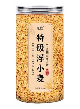 浮小麦中药材桑叶黄芪止汗小麦茶爱出虚汗正品新货官方旗舰店nn