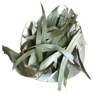 包邮 厂家直销蜜袋鼯垫材 零食粮食 烘干桉树叶尤加利叶500克