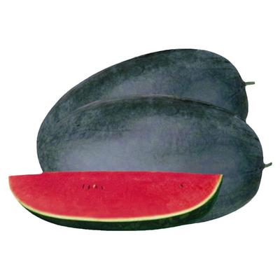 懒汉麒麟黑美人西瓜无籽南方四季