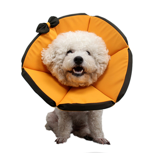 伊丽莎白圈狗狗猫咪术后防护耻辱圈大型犬防舔咬头套项圈绝育圈软