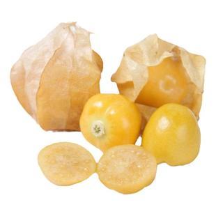 大黄菇娘粒粒甜种子皮薄肉厚浆果种子清新甜度高蔬菜水果种子春季