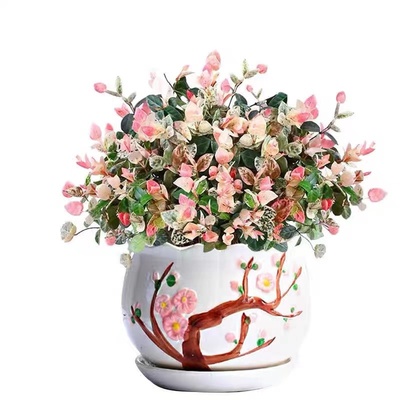 花叶络石四季花卉盆栽彩络叶吊篮阳台爬藤苗绿植植物垂吊好养耐旱