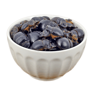 蜣螂中药材小药仙正品蜣螂虫干货屎壳郎推粪虫大将军非野生蜣螂粉