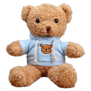 表白礼物录音款泰迪熊毛绒玩具会说话布娃娃可爱抱抱熊玩偶女生