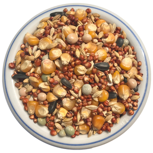 美顿宝日常1号鸽粮带玉米营养饲料50斤鸟食成年鸽赛鸽肉鸽鸽子粮