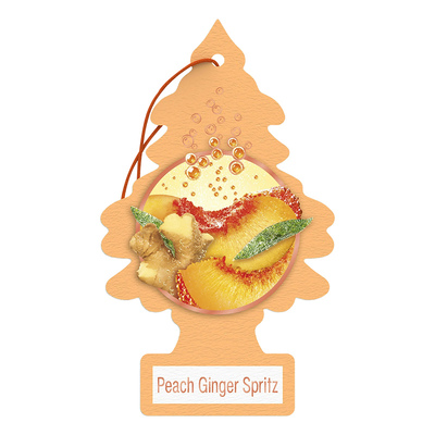 车载香氛车内香片挂件进口