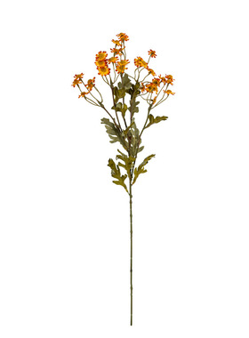 RoomTour复古秋色长枝洋甘菊