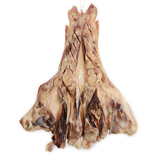 腊猪脚连州东陂腊味正宗风香腊猪手一整只猪脚重3斤顺丰多地包邮