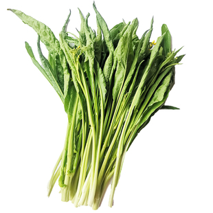 广西兴安柳叶菜心新鲜白菜花卷叶青菜苔甜菜梗子现摘现发时令蔬菜