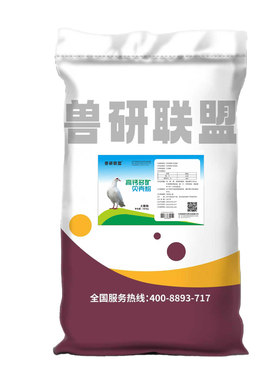贝壳粉禽类壮骨产蛋补钙易吸收