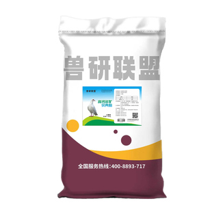 贝壳粉喂鸡高钙贝壳粉专用壮骨畜禽天然饲料养鸡鸭鹅鸽子养殖产蛋
