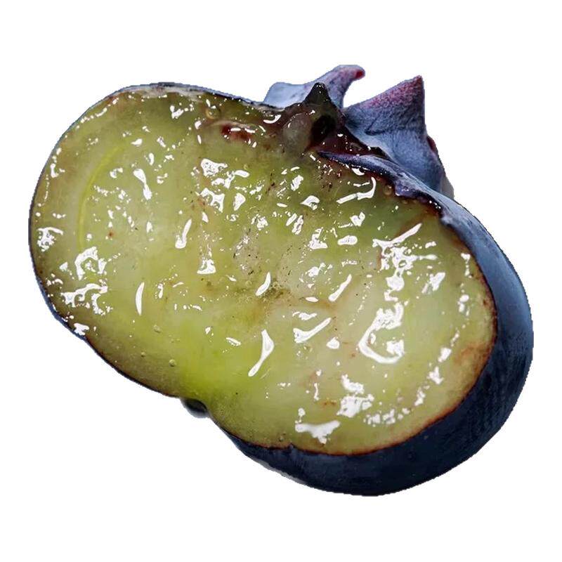 山东蓝莓王超大果现摘现发