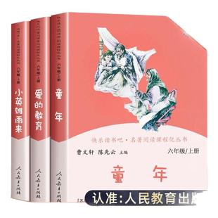 人教版 爱的教育小英雄雨来童年书全套3册高尔基正版原著鲁滨逊漂流记完整版小学生6六年级必读的课外书籍快乐读书吧上册