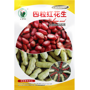 高产四粒红花生种子 春季抗旱四粒红花生米 早熟农家红皮花生种籽