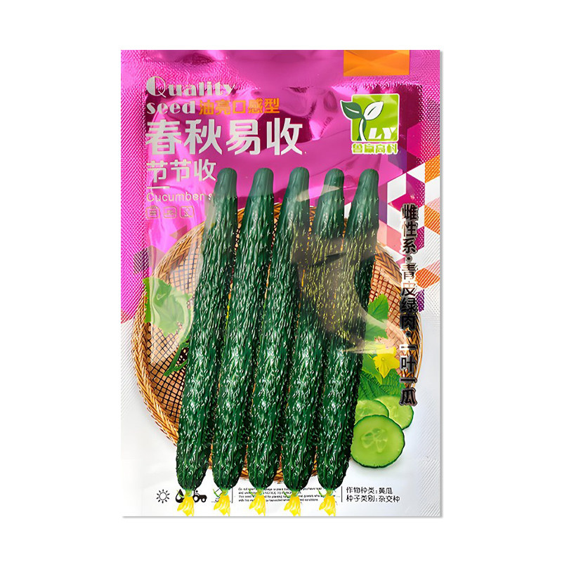 鲁赢春秋易收节节收黄瓜种子