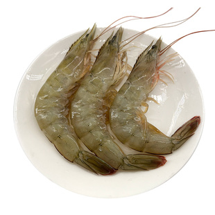辰妈家新鲜露天海水虾活虾鲜活控水速冻鲜虾海鲜水产