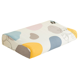 2025新款纯棉乳胶枕套一对装100全棉40x60单个儿童小枕头套30x50