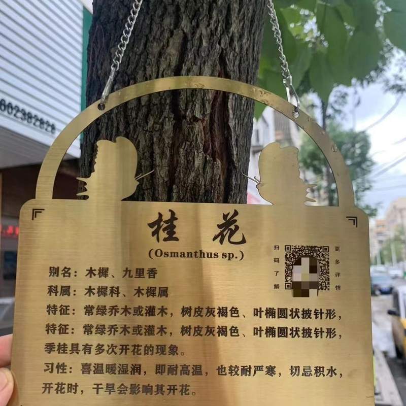 树牌挂牌防水树木标识牌植物花草牌不锈钢树牌树木介绍悬挂牌定zh