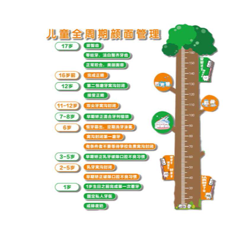 口腔门诊所形象墙装饰儿童全生命周期颜面健康管理挂画广告身高贴