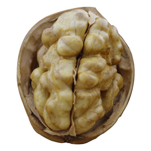 2025新货新疆纸皮核桃原味薄皮185大核桃阿克苏孕妇零食特产500g