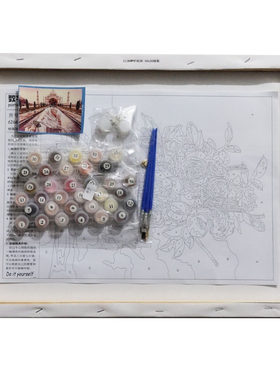 数字油画采饰绘棉布有框花卉