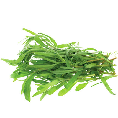 精选面条菜种子四季菜种