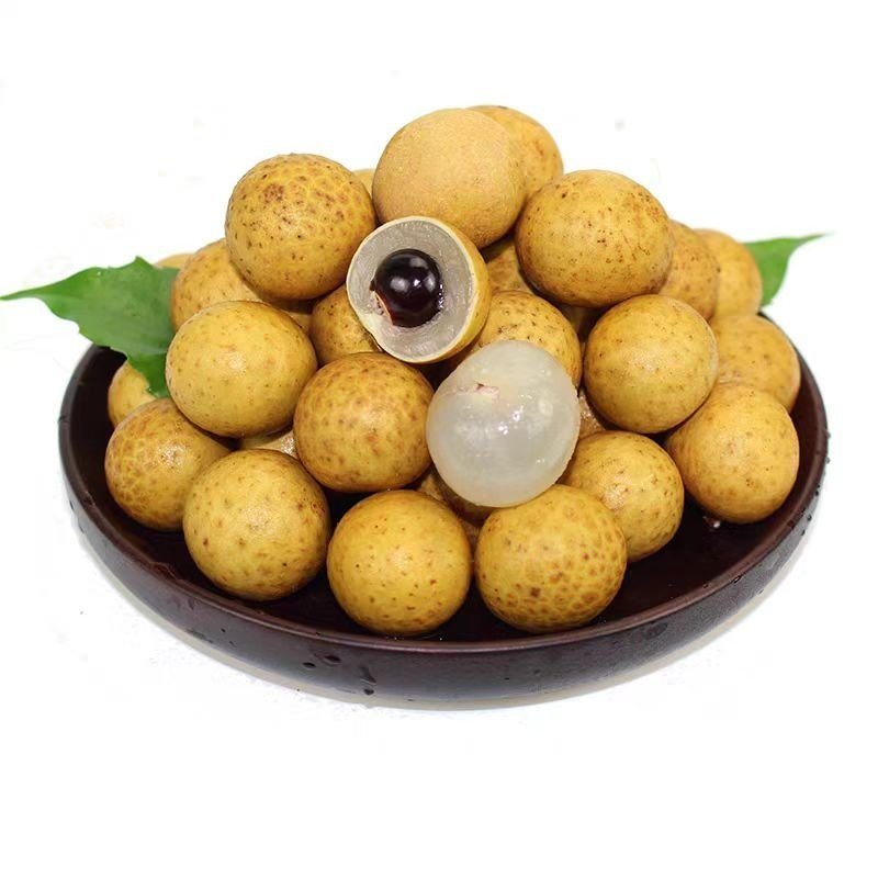 A级龙眼正宗农家种植现摘当季鲜果泰国龙眼新货顺丰发货