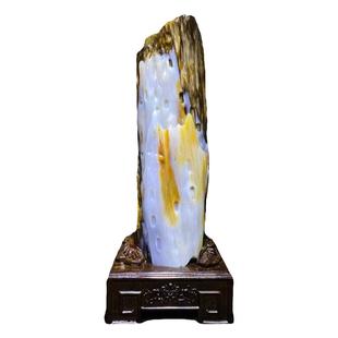 缅甸天然树化玉木化玉树化石原石奇石观赏石家居装饰风水镇宅摆件